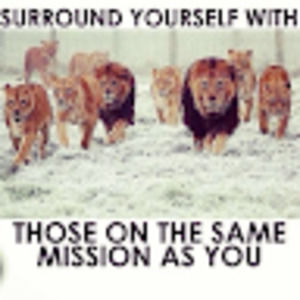 Meet your Posher, Jamie